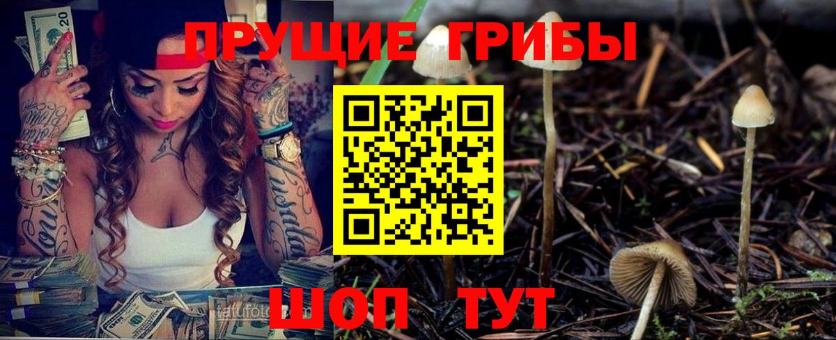 Псилоцибиновые грибы мицелий Павловский Посад