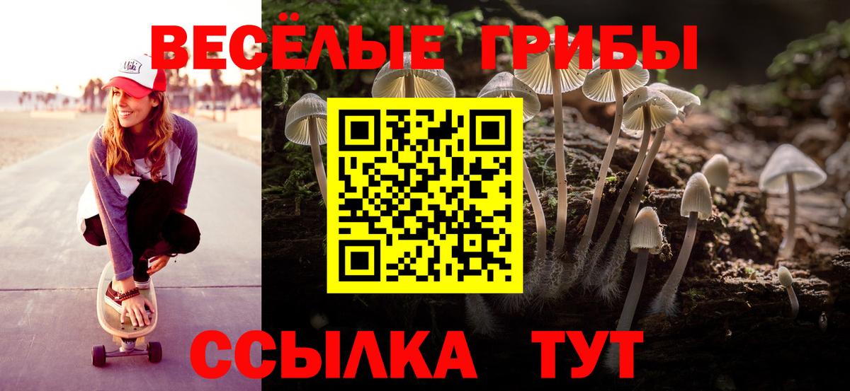 Павловский Посад  Псилоцибиновые грибы прущие грибы  Вход с VPN 